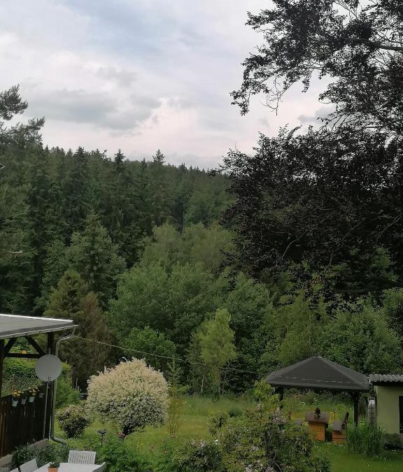 Sebnitz Apartment | Ferienwohnung Waldblick mit Balkon