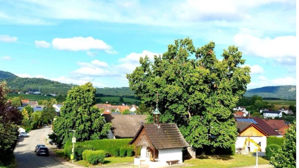 Frittlingen Apartment | Ferienwohnung Wolke7