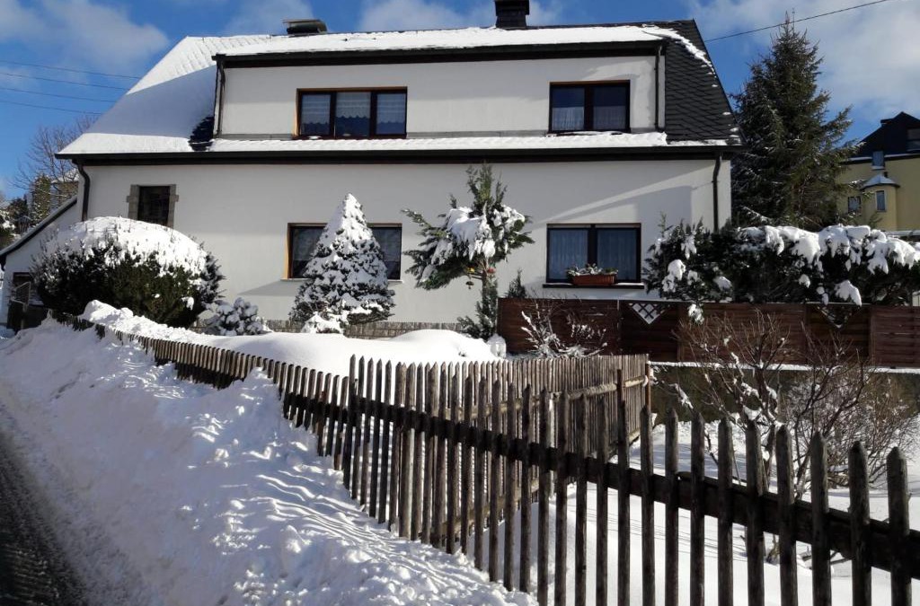 Zschorlau Apartment | Ferienwohnung Zschorlau/Erzgebirge 03771 479123