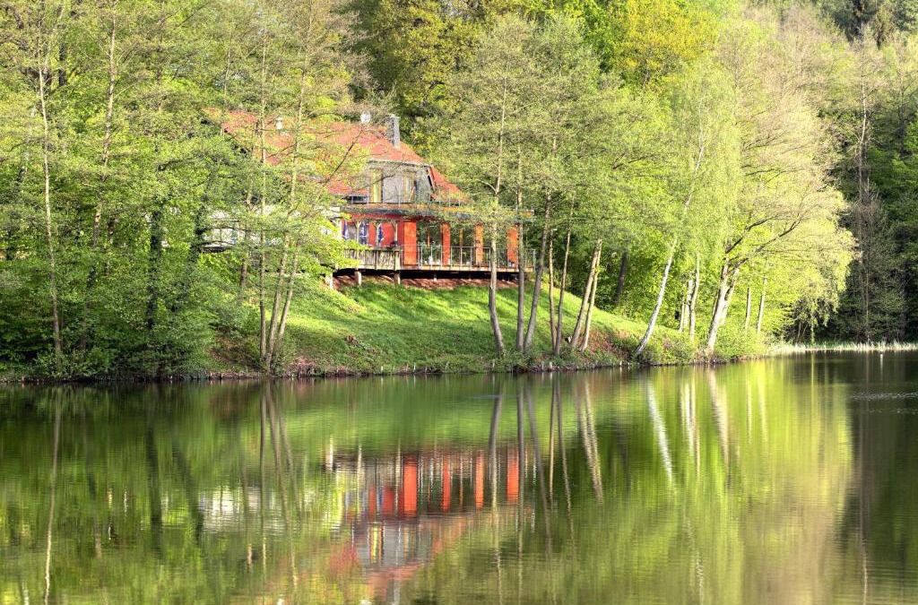 Sangerhausen House | Ferienwohnungen & Campingfässer am Kunstteich