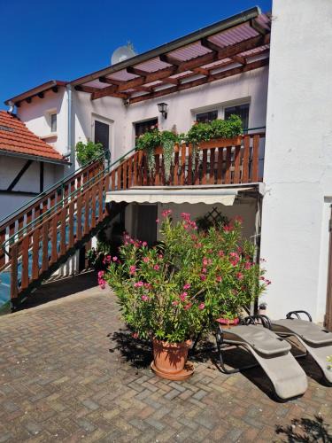Bad Frankenhausen/Kyffhauser Apartment | Ferienwohnungen Christine Knoll