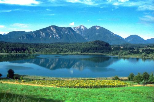 Sankt Primus Apartment | Ferienwohnungen Eckwirt Region: Klopeinersee-Turnersee