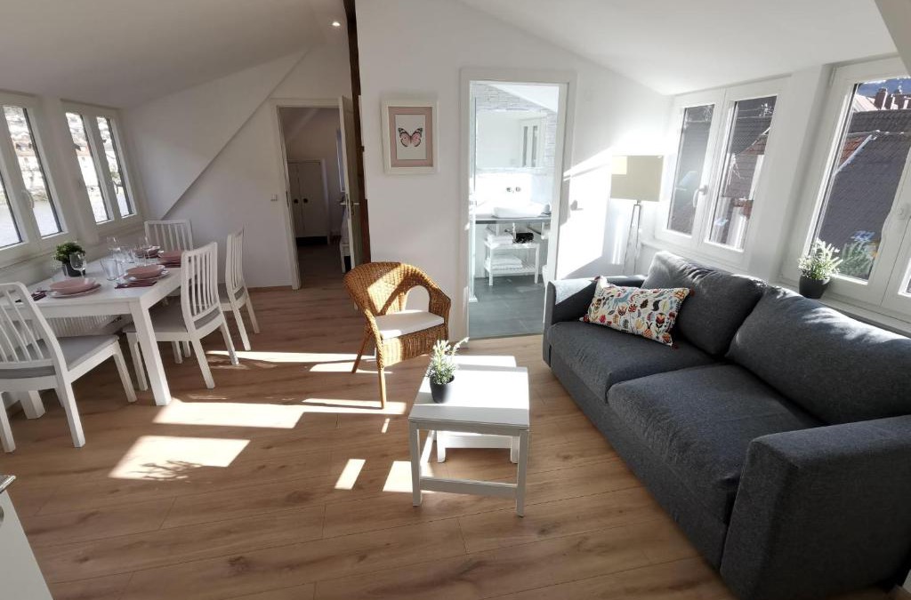 Neckargemuend Apartment | Ferienwohnungen Flussufer - Neckargemünd Altstadt