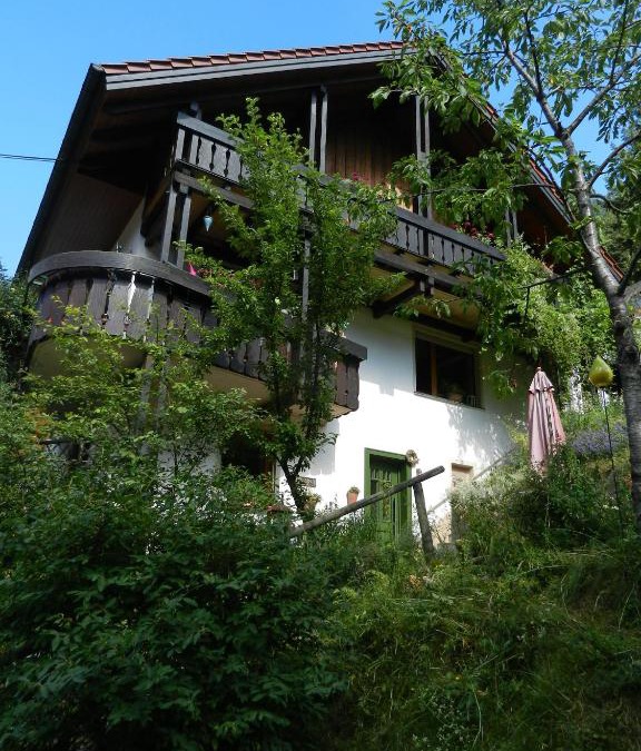 Schoenmuenzach Apartment | Ferienwohnungen in Schönmünzach