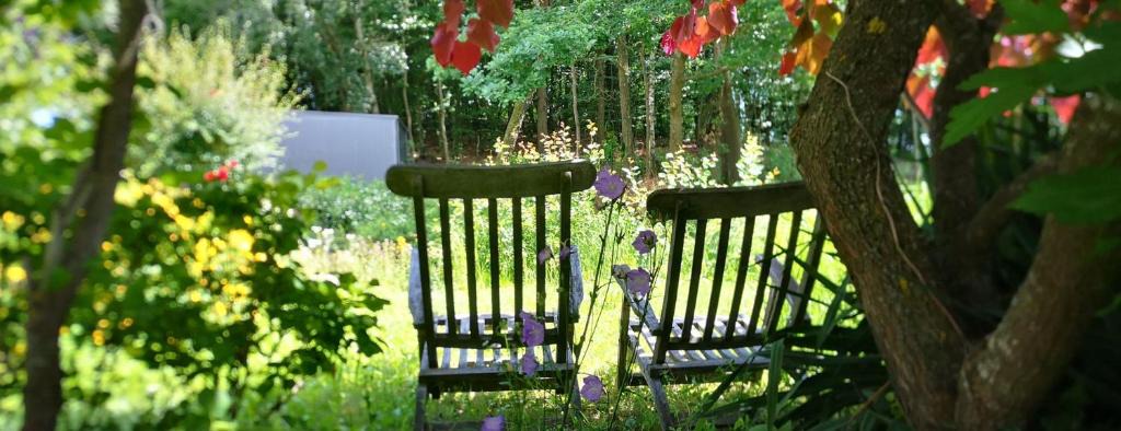 Herzogsdorf Apartment | Ferienwohnungen Pesenbachtal