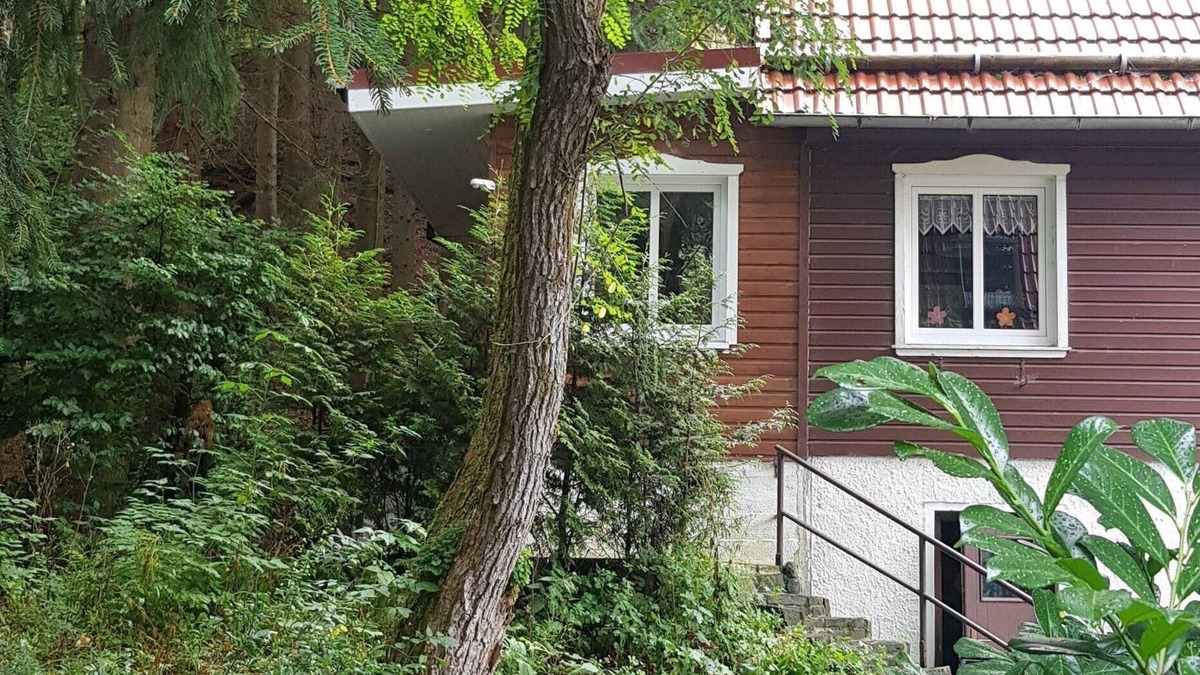 Wildemann Apartment | Ferienwohnungen Waldblick, Wohnung 2