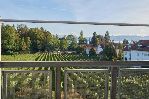 Bad Schachen Apartment | Ferienwohnungen Weingut Deufel