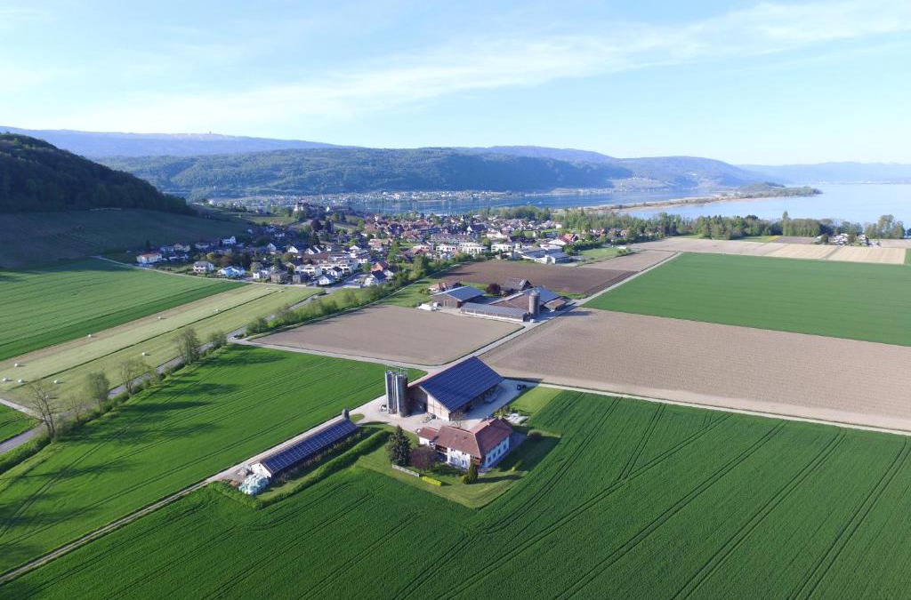 Erlach Bed & Breakfast | Ferienzimmer Zülli