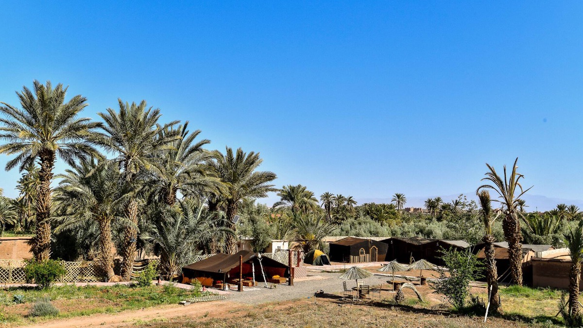 Tarmigt Other | FERME DAR CHARACH luxury tent in the heart of the palm grove