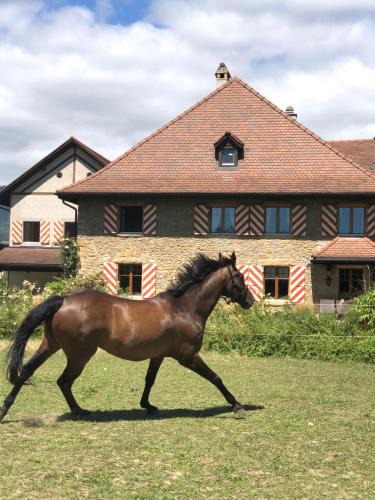 Auvernier Apartment | Ferme de Grandchamp