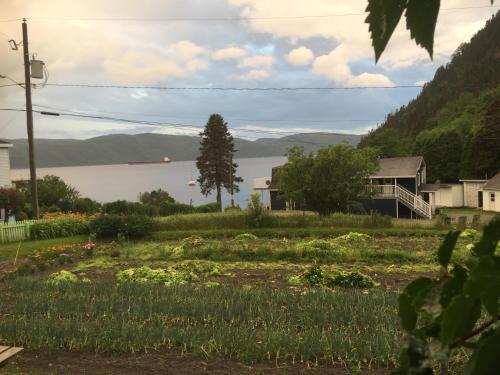 Sainte Rose du Nord Bed & Breakfast | Ferme Jardin Potager