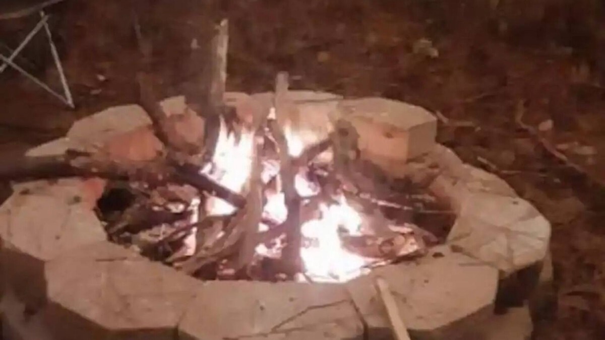 Red Hill Cabin | Fern Gully cabin