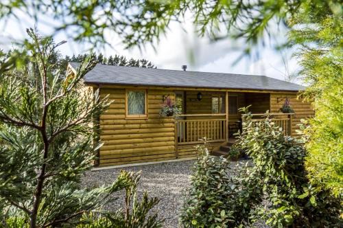 St. Florence Ski Chalet | Fern Lodge - 2 Bedroom Log Cabin - Saint Florence - Tenby