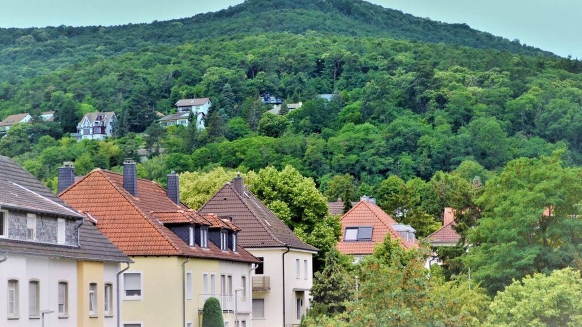 Neustadt an der Weinstrasse Apartment | Fewo Kirst - Appartement/fewo, Dusche und Bad, WC, 2 Schlafräum
