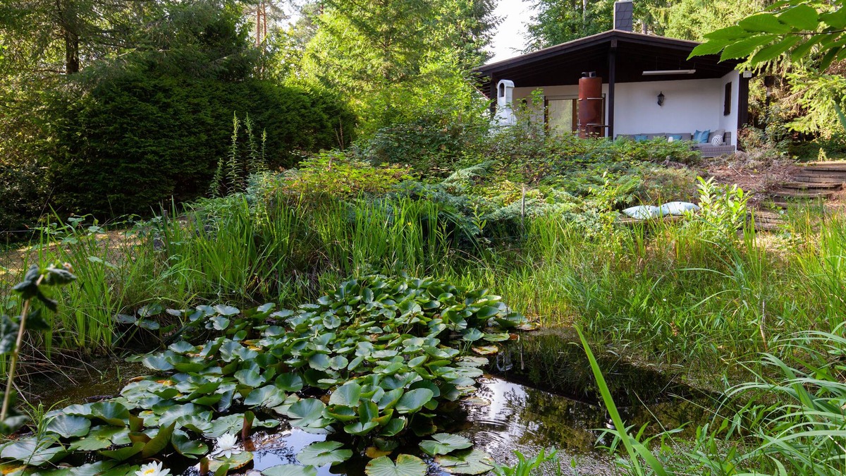 Trippstadt Apartment | Fewo/haus zur Alleinigen Verfügung mit Grossem Gartenparadies Inkl. Teich