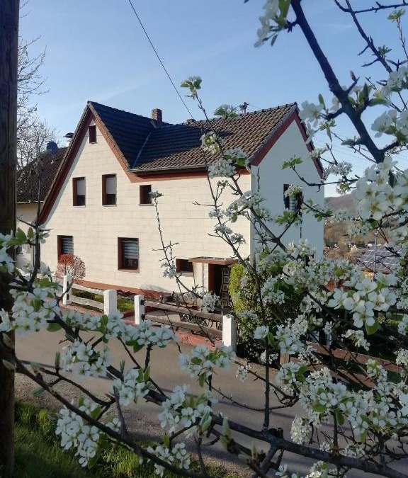 Geilhausen Apartment | FeWo Mädi