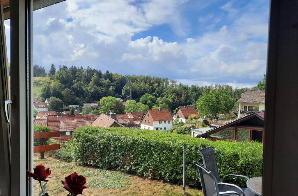 Bad Grund Apartment | FeWo mit Terrasse für 4-5 Personen mit Schwimmbad + Sauna