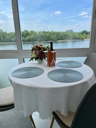 Urmitz Apartment | Fewo Rheinblick St Nikolaus Str