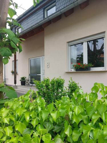 Wintrich Apartment | FeWo's Weinbergblick Wintrich by Brauneberger Hof