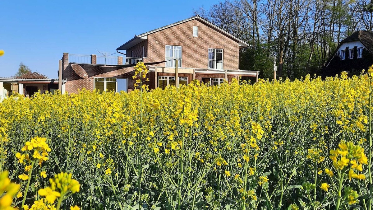 Reinbek Apartment | Fewo Seestern in Reinbek - Ferienwohnung Seestern
