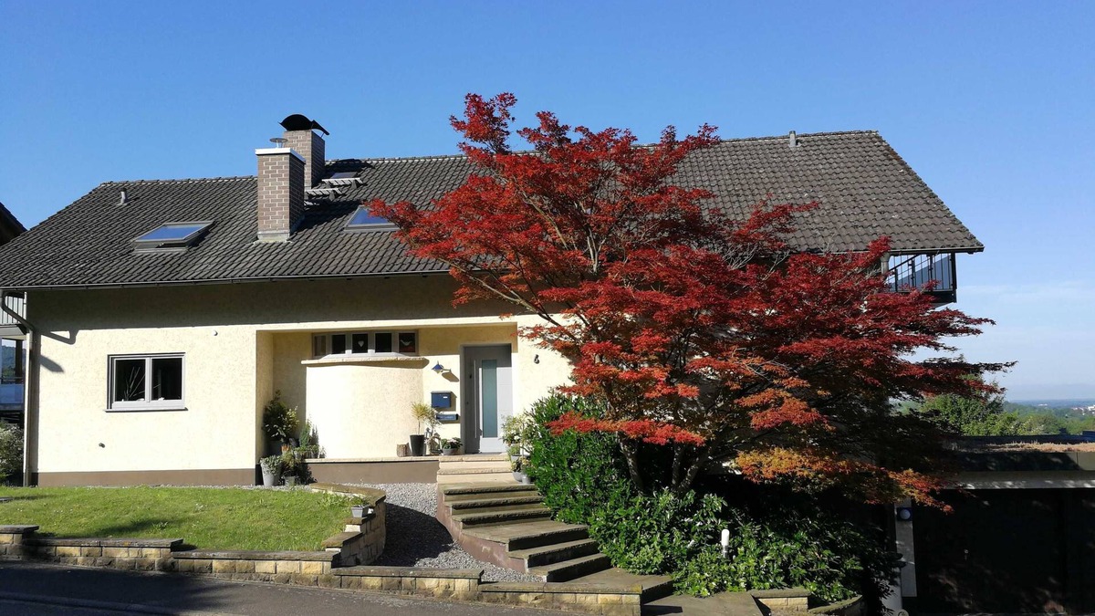 Friesenheim Apartment | Fewo Waldreben - Ferienwohnung Waldreben