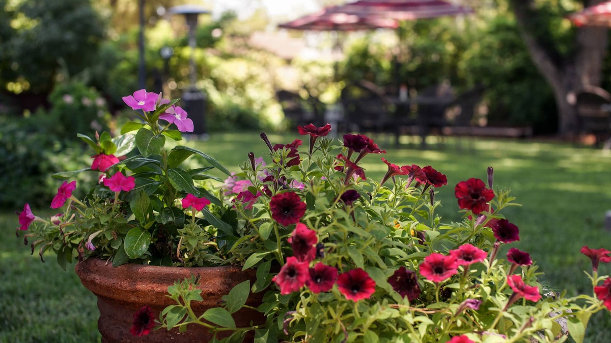 Carlsbad Bed & Breakfast | Fiddler's Inn
