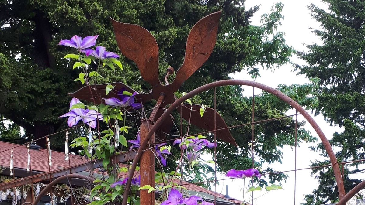 Courtenay Cabin | Figgy Cabin-for a treehouse feel, nestled under a giant fig tree.