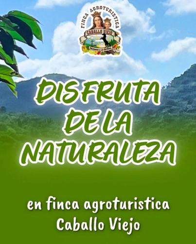 Playa Blanca House | Finca Agroturística Caballo Viejo