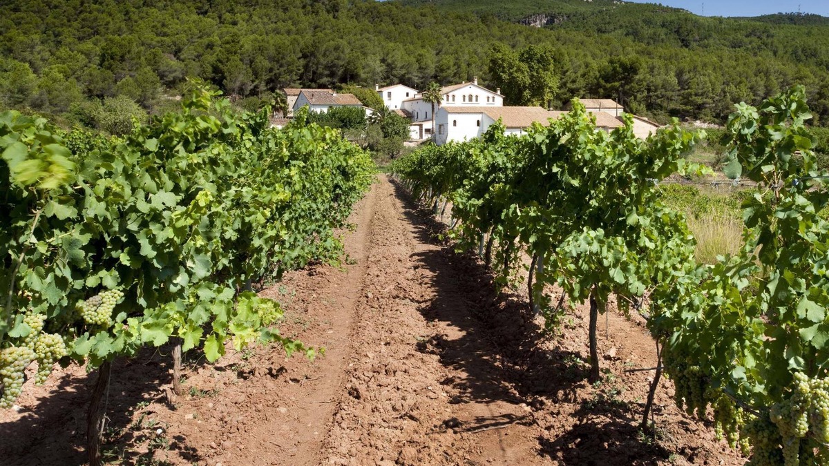 L'Avella Apartment | Finca Can Romeu: Alojamiento Rural Entre Viñedos