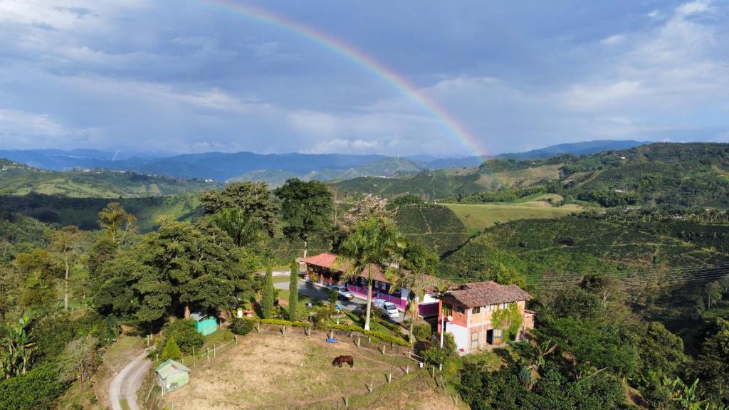 Chinchina House | Finca Cafetera Hostal El Cerrito