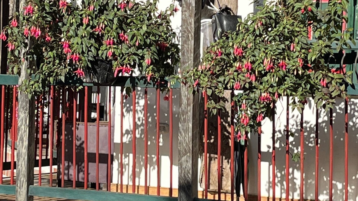 Salento Bed & Breakfast | Finca Campestre La Adelita