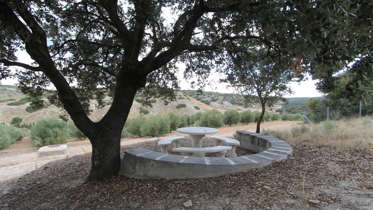 San Martin de la Vega Villa | Finca Casa Rural Victoria near Madrid and Warner Park. Max Capacity 24
