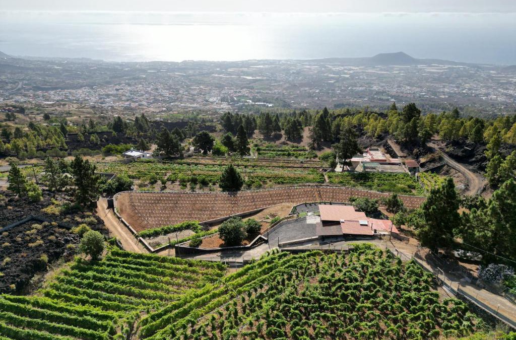 Arafo Ski Chalet | Finca Ecológica Ferrera. Alojamiento Rural.