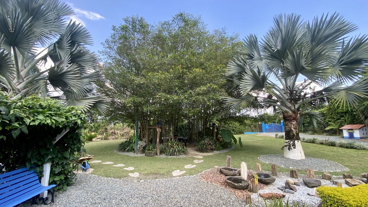 Fredonia House | Finca El Jardin Secreto a 10 Minutos de Fredonia, a una Hora y Media de Medellín