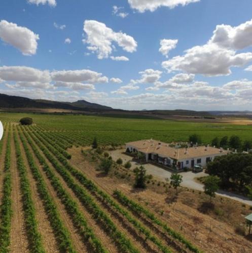 Alpera Hotel | Finca El Romeral