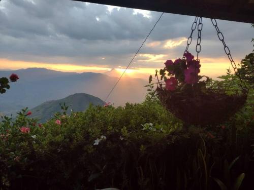 Fredonia House | Finca Emilio