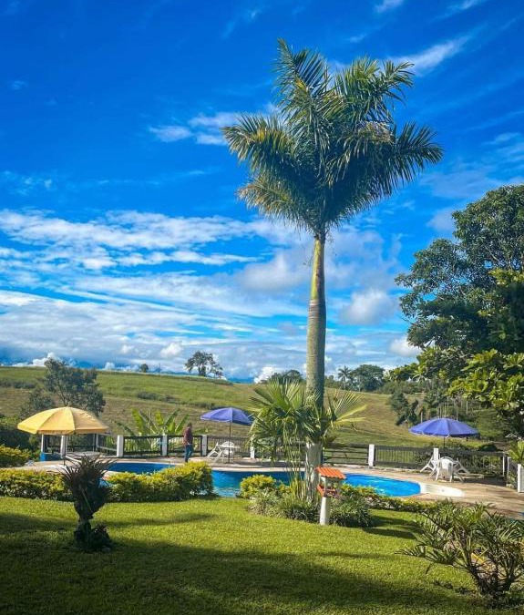 Quimbaya Apartment | finca hotel palmas frente a panaca