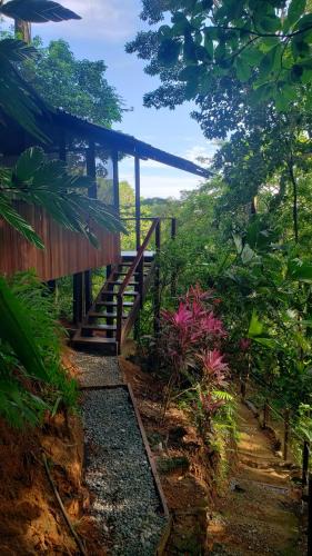 Carate Cabin | Finca la Bonita, Playa Carate