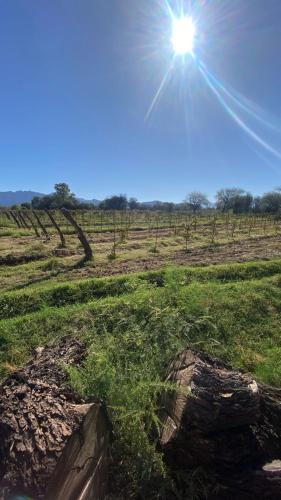 Tinogasta Bed & Breakfast | Finca La Dionisia