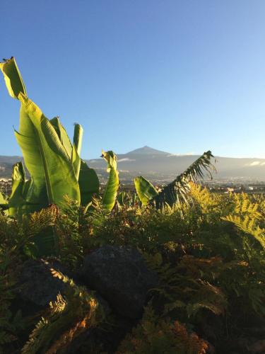 Las Cuevas House | FINCA LA PLANTACIÓN Agroturismo