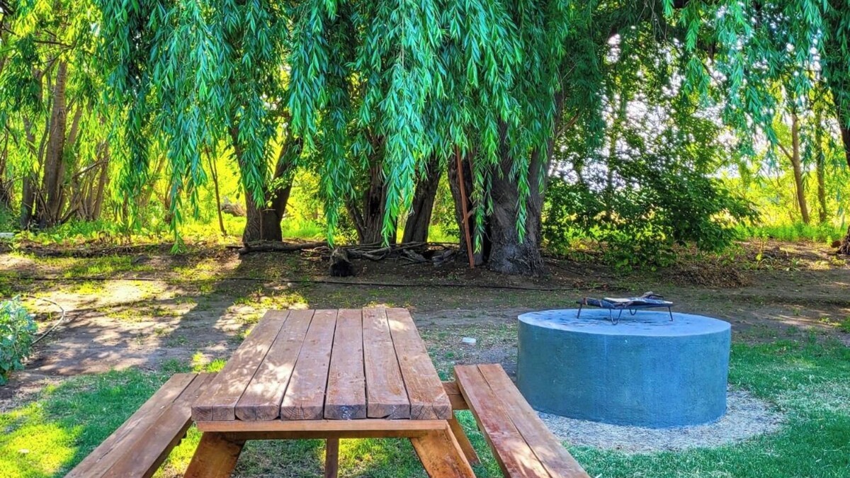 Tunuyan Other | Finca La Saucina