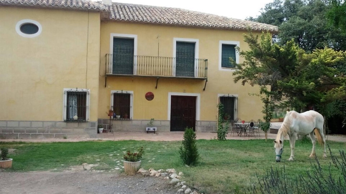 Cehegin House | "FINCA LAS NIEVES" Cehegín