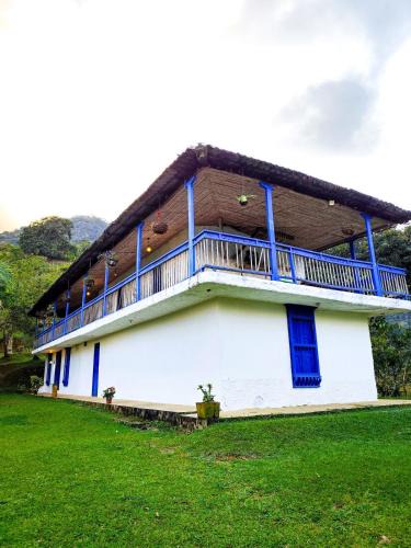 Coffee Triangle House | Finca Rústica, Cocorná - Cacao, Charcos y Cascadas