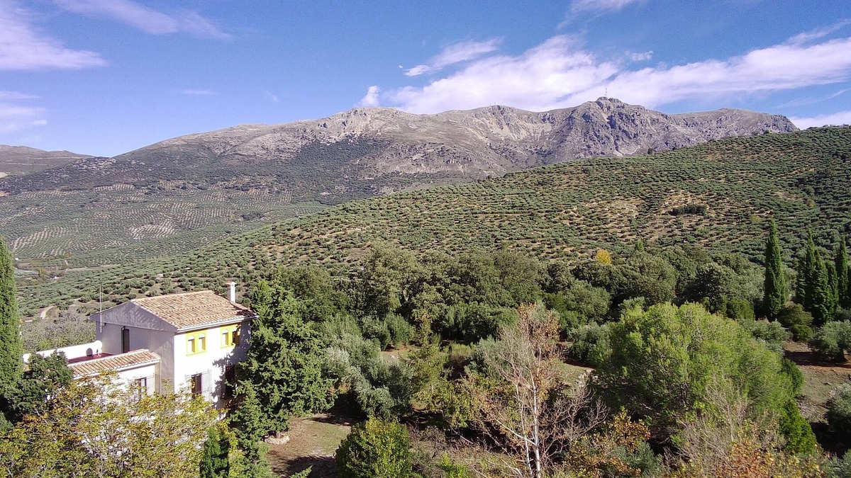Valdepenas de Jaen Cottage | Finca Rural La Calderera con 10.000 Metros Cuadrados en Plena Sierra Sur