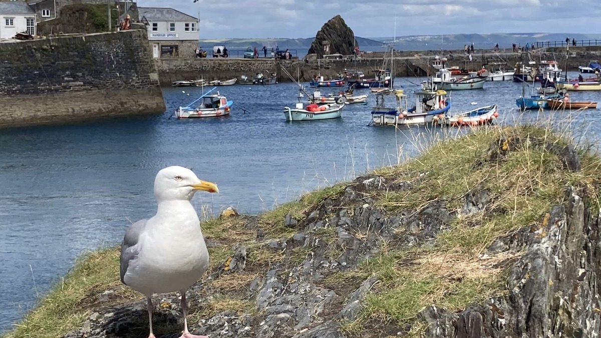 Mevagissey Cottage | Finest Retreats | Backlet Cottage