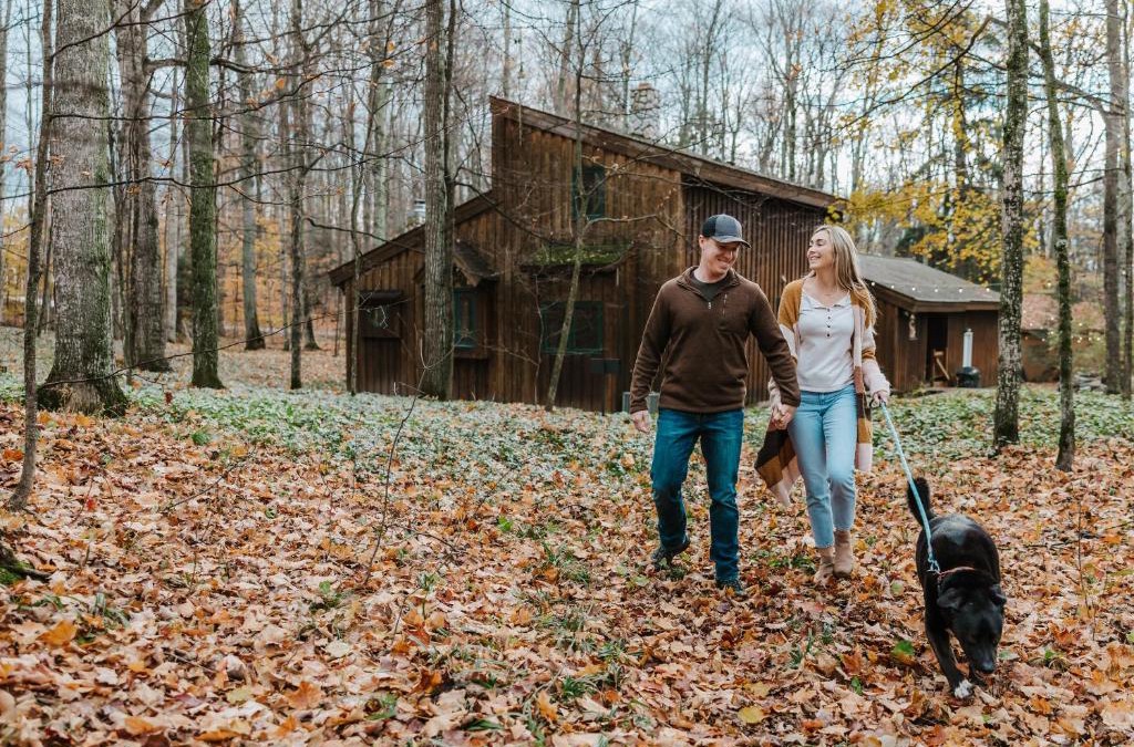 Suttons Bay House | Finnwood - A Pet Friendly Woodland Retreat