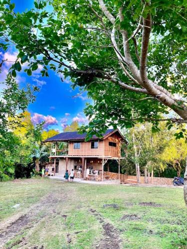 Lazi House | Firefly Treehouse Cafe and Bar