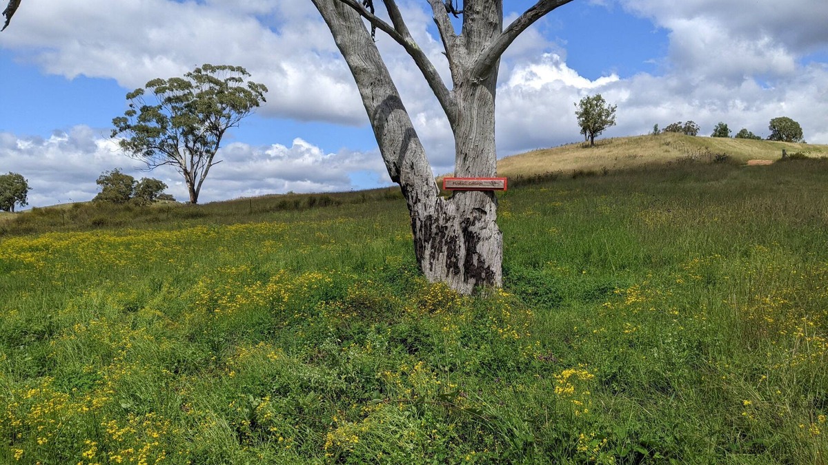 Capertee Cottage | Firetail Cottage in the secluded Capertee Valley