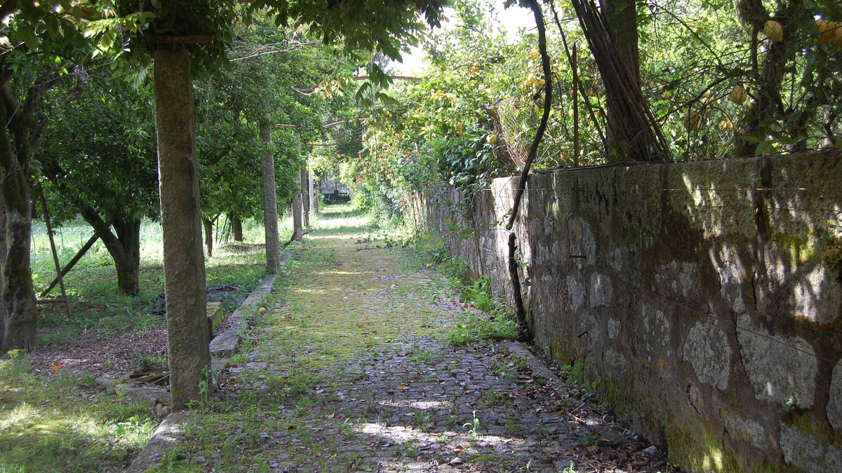 Maia House | First floor in rural Maia