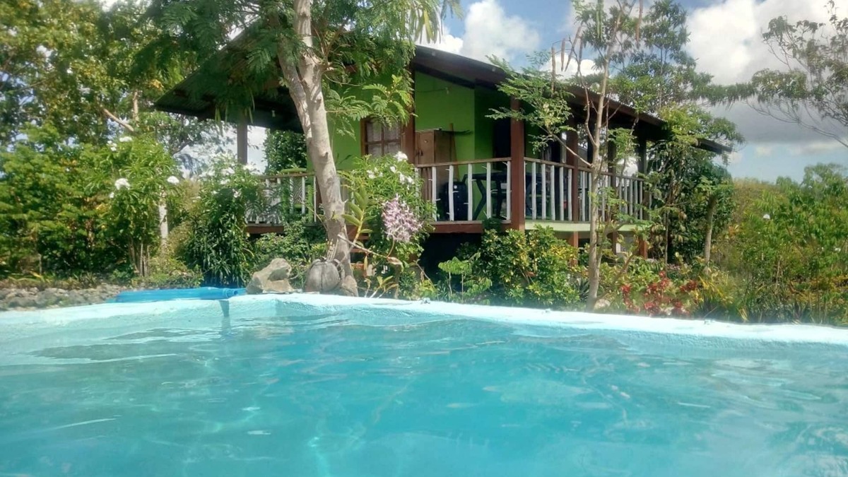 Lazi House | Fischer's Berghof, 2 houses + pool, great mountain view, good for relax or work